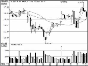 8月19日機構(gòu)聚焦 基礎(chǔ)軟件服務(wù)賽道，誰主沉浮？